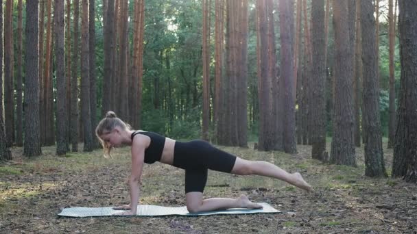 Flexible joven en forma femenina practica yoga, realiza bharmanasana en el bosque de pinos — Vídeo de stock
