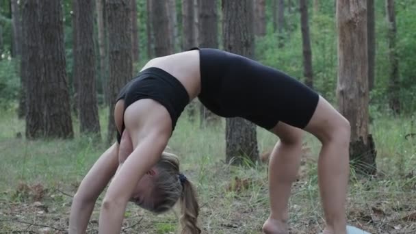 Young flexible slim female practices yoga, performs bridge pose at pine forest — Stock Video