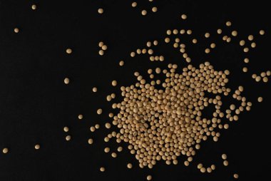 Organik soya fasulyesi makrosu yakın çekim, seçici odak