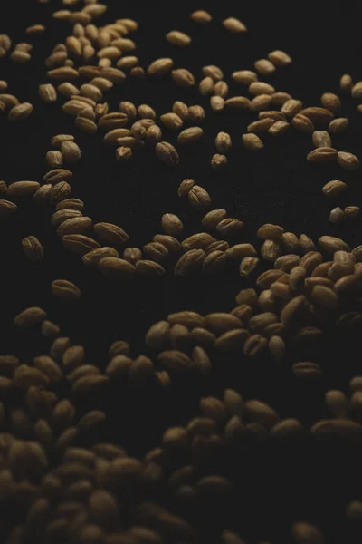 Pearl Barley Μακροεντολή Από Κοντά Επιλεκτική Εστίαση — Φωτογραφία Αρχείου
