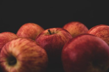 Siyah arka planda kırmızı elmaların profesyonel portresi, Fuji