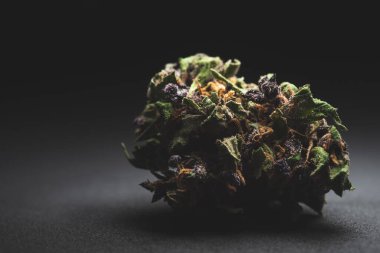 Mor Duman Kenevir Marihuana Kuru Tomurcukları 'nın Makro yakın portresi
