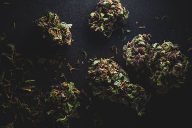 Mor Duman Kenevir Marihuana Kuru Tomurcukları 'nın Makro yakın portresi