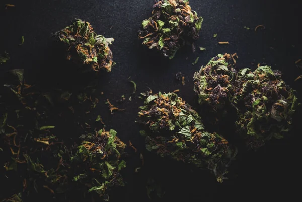 Macro close up portrait of Purple Haze Cannabis Marijuana Dry Buds