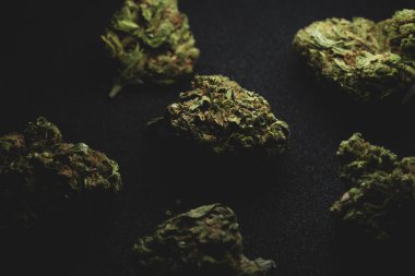 Tatlı Ada Kenevir Marihuana Kuru Tomurcuklar 'ın Makro yakın portresi, seçici odak