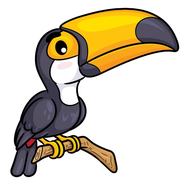 Toucan Cute Cartoon — Stockvector