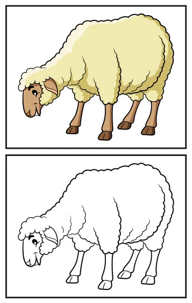 Boyama Kitabı Şirin Koyunlar Renkli Sayfa Renkli Clipart Karakteri Vektör Stok Vektör