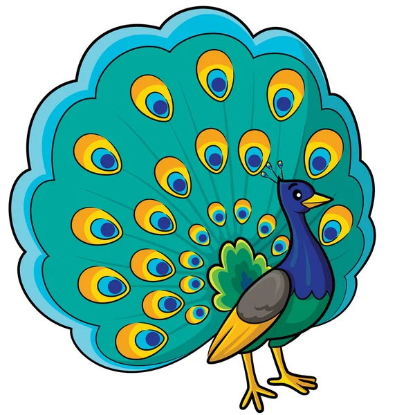 Peacock cartoon Vector Art Stock Images | Depositphotos
