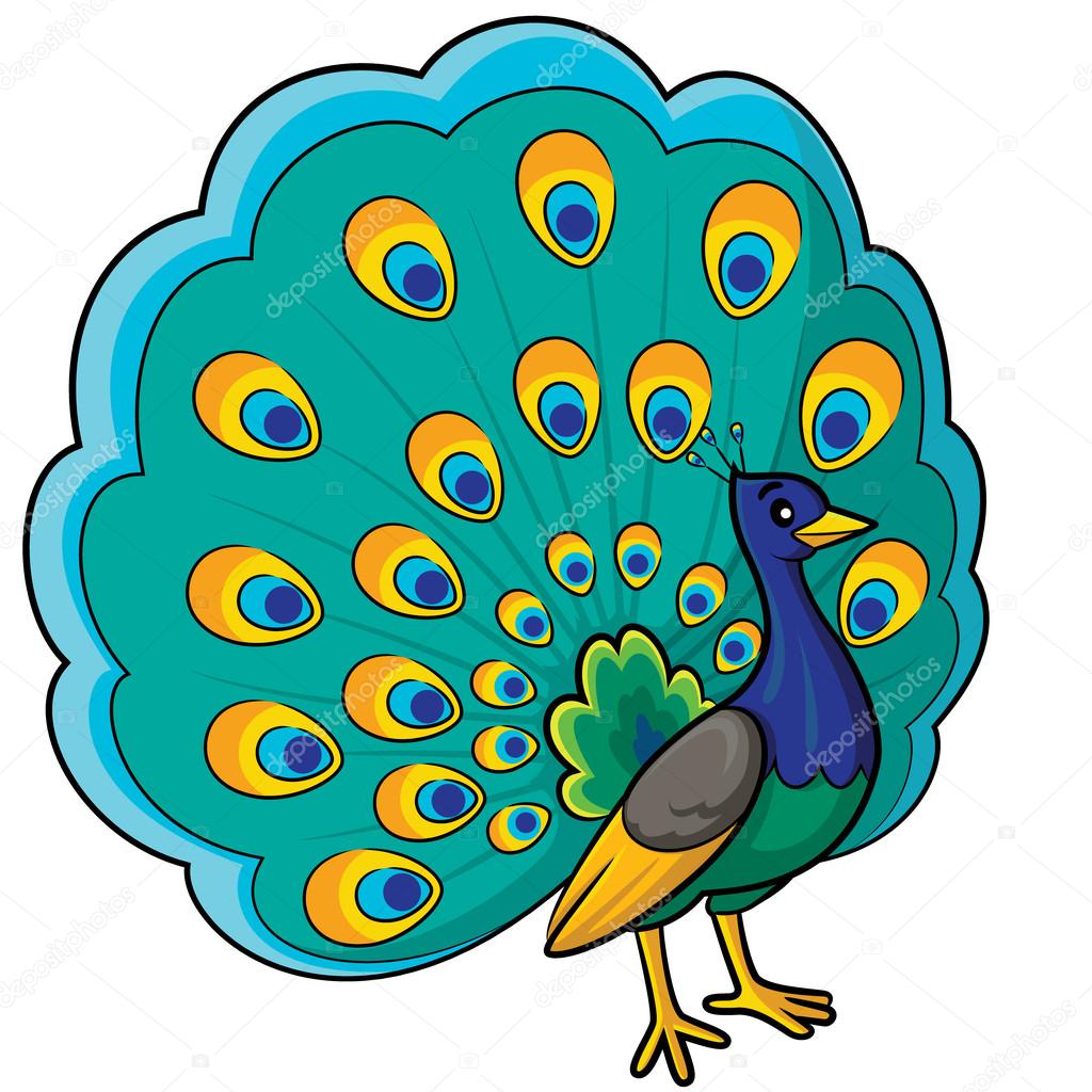 Peacock Cartoon