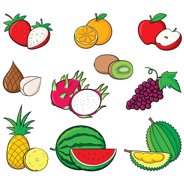 Fruits Collection — Stock Vector