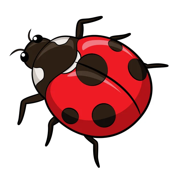 Ladybird Cartoon — Stock Vector