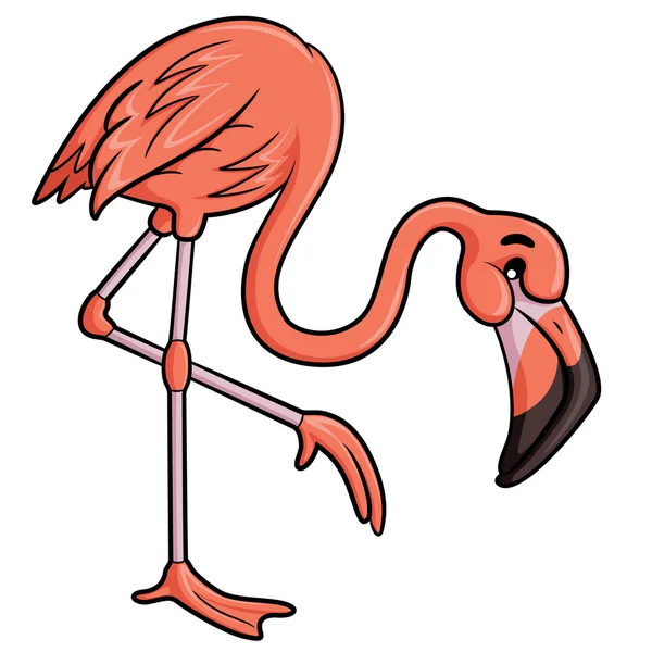 Flamingo-Karikatur — Stockvektor