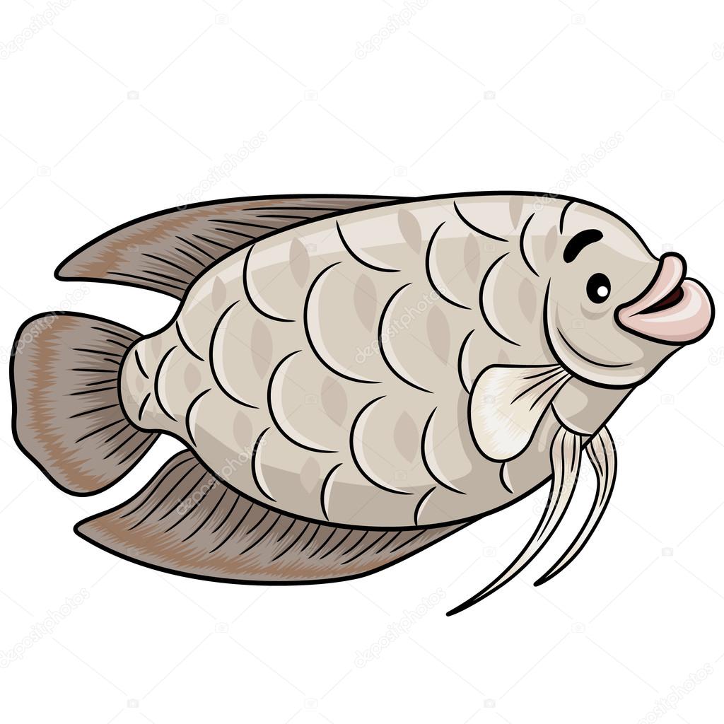 Gurame Fish Cartoon Vector Image By Rubynurbaidi Vector Stock 91903520