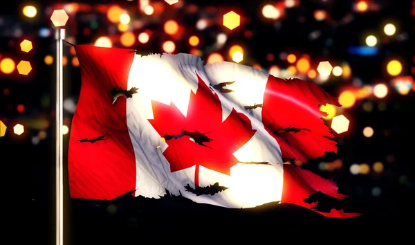 Canada National Flag — Stock Photo, Image