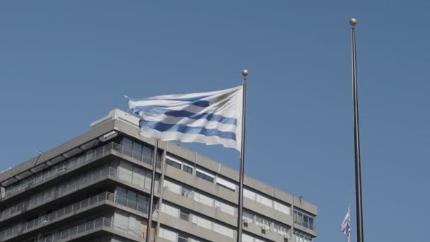 Macha flaga narodowa Urugwaju — Wideo stockowe