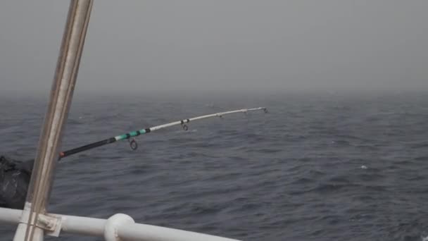 Pesca en el océano con niebla — Vídeos de Stock