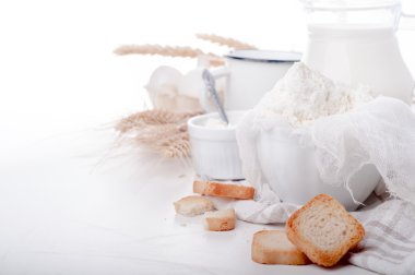 Taze süt ürünleri