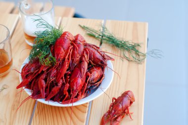 lezzetli haşlanmış crayfishes ve bira eski tablo