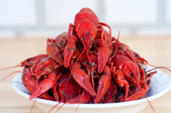 Beyaz bir kase kırmızı haşlanmış kerevit