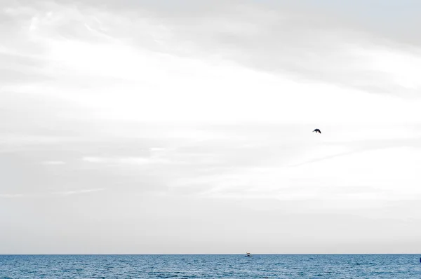 Mare e cielo al tramonto. — Foto Stock