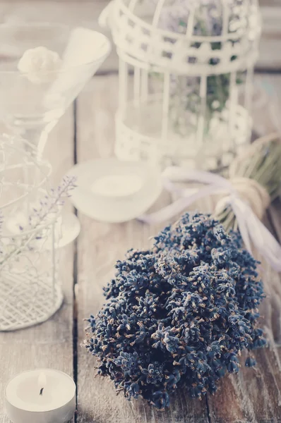 Lavendelblommor — Stockfoto