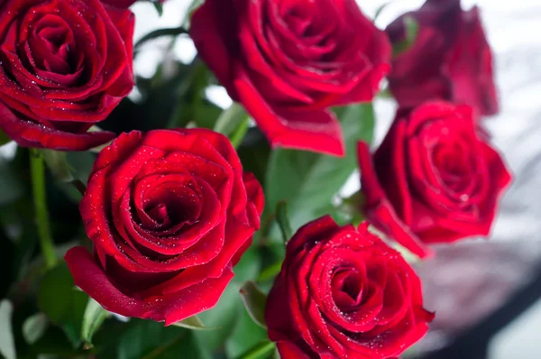 Buquê de rosas sobre um fundo branco — Fotografia de Stock