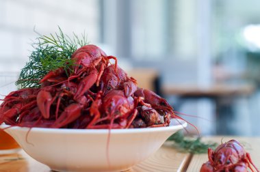 lezzetli haşlanmış crayfishes ve bira eski tablo