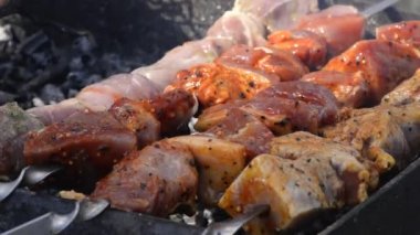 Izgarada ızgara et var. Bahar bahçesindeki ızgarada domuz eti. Doğadaki mangal üzerinde shashlik pişirmek. Shashlik kömürde yemek pişiriyor.
