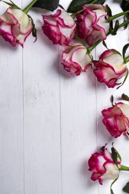 Ahşap beyaz arka planda güllerin çerçevesi. Fotokopi alanı olan bir kartpostal konsepti, düz konum