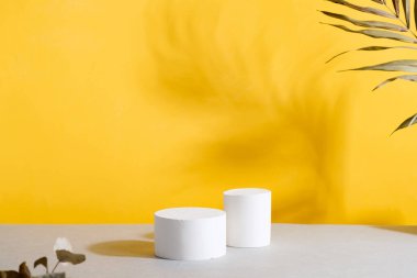 Duoton sarı arka planda kuru kamış ile Geometrik podyum sahnesi