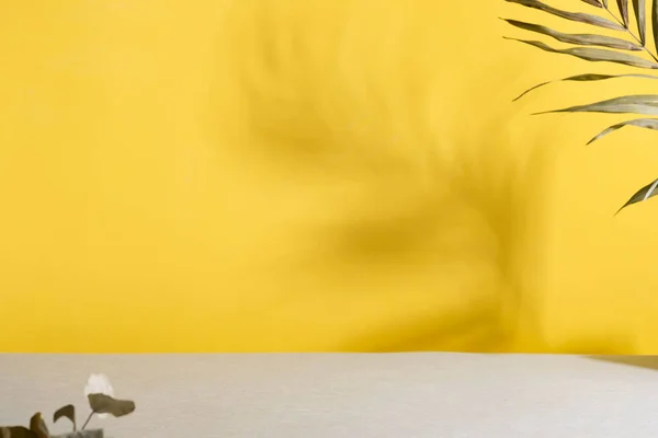 Duotone Yellow Grå bakgrunn med palmeskygger. Trendy farger 2021. – stockfoto
