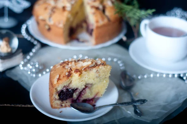 Viennese cake with blueberries — Stock Photo, Image