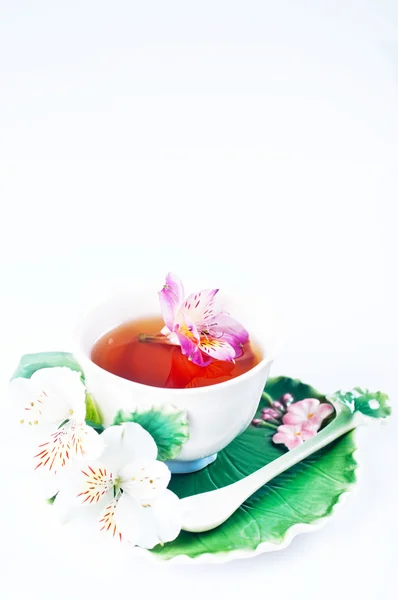 Cup of tea with  flowers — Stock Photo, Image