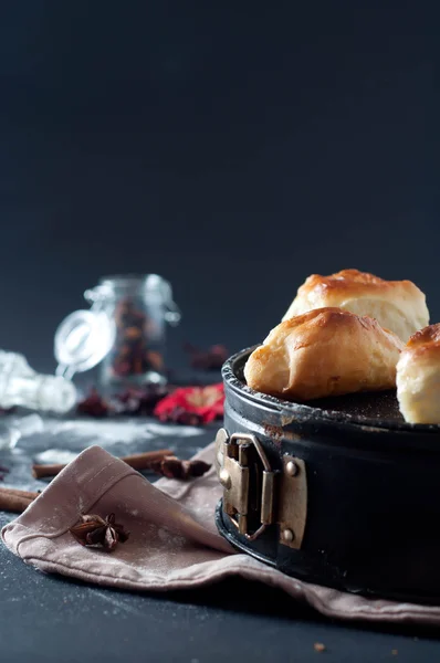 Empanada, torta de carne — Fotografia de Stock