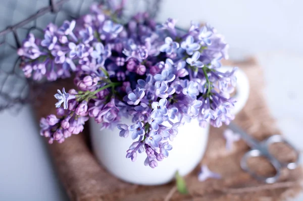 Ramo de flores de primavera lila púrpura — Foto de Stock