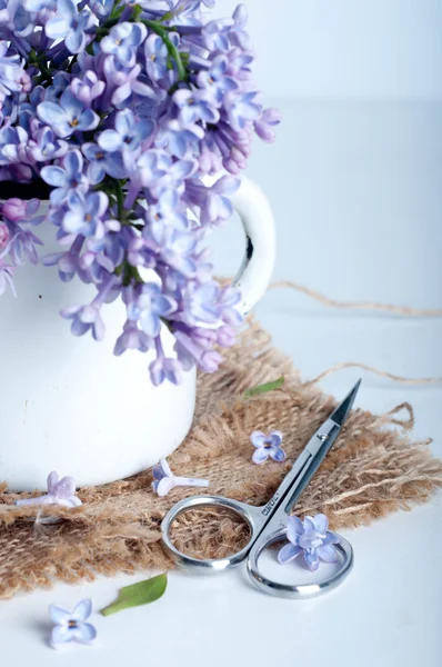 Bukett av lila lila vårblommor — Stockfoto