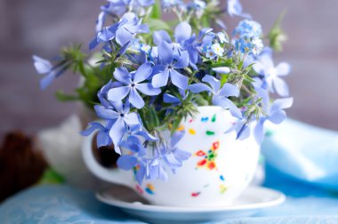 forgetmenot çiçek 