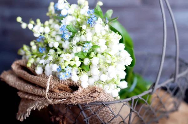 Lilies of the valley — Stock Photo, Image