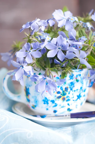 Fiori Forgetmenot — Foto Stock