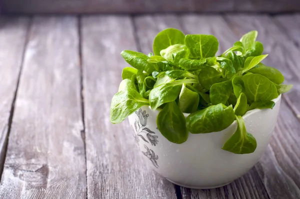 Frischer grüner Salat mit Spinat — Stockfoto