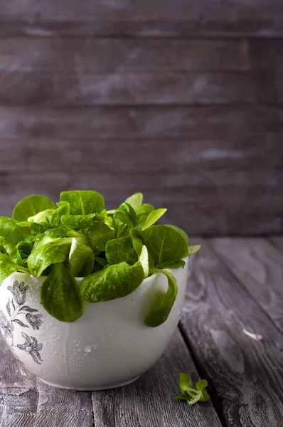 Frischer grüner Salat mit Spinat — Stockfoto