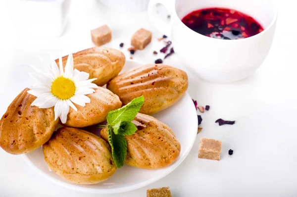 Madeleine zelfgemaakt gebak — Stockfoto