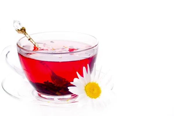 Cup of tea with teabag over white — Stock Photo, Image