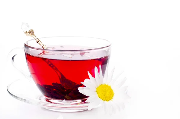 Cup of tea with teabag over white — Stock Photo, Image