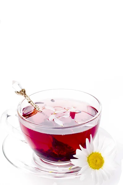 Cup of tea with teabag over white — Stock Photo, Image