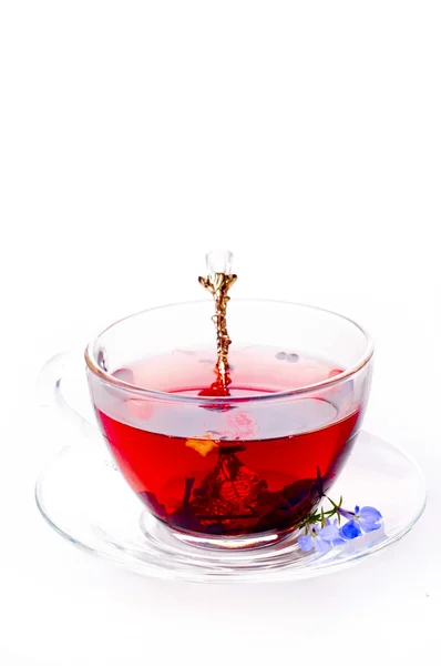 Cup of tea with teabag over white — Stock Photo, Image