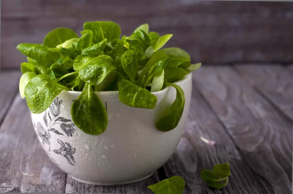 Frischer grüner Salat mit Spinat — Stockfoto