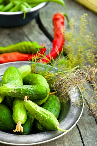 Cucumber pickled — Stock Photo, Image