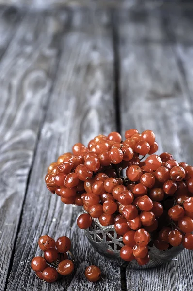 Autumn still life with twigs of viburnum. — Stock Photo, Image