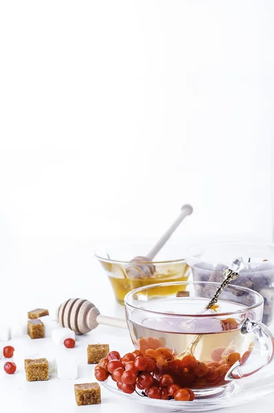 Heißer Kräutertee mit Honig und Viburnum, — Stockfoto